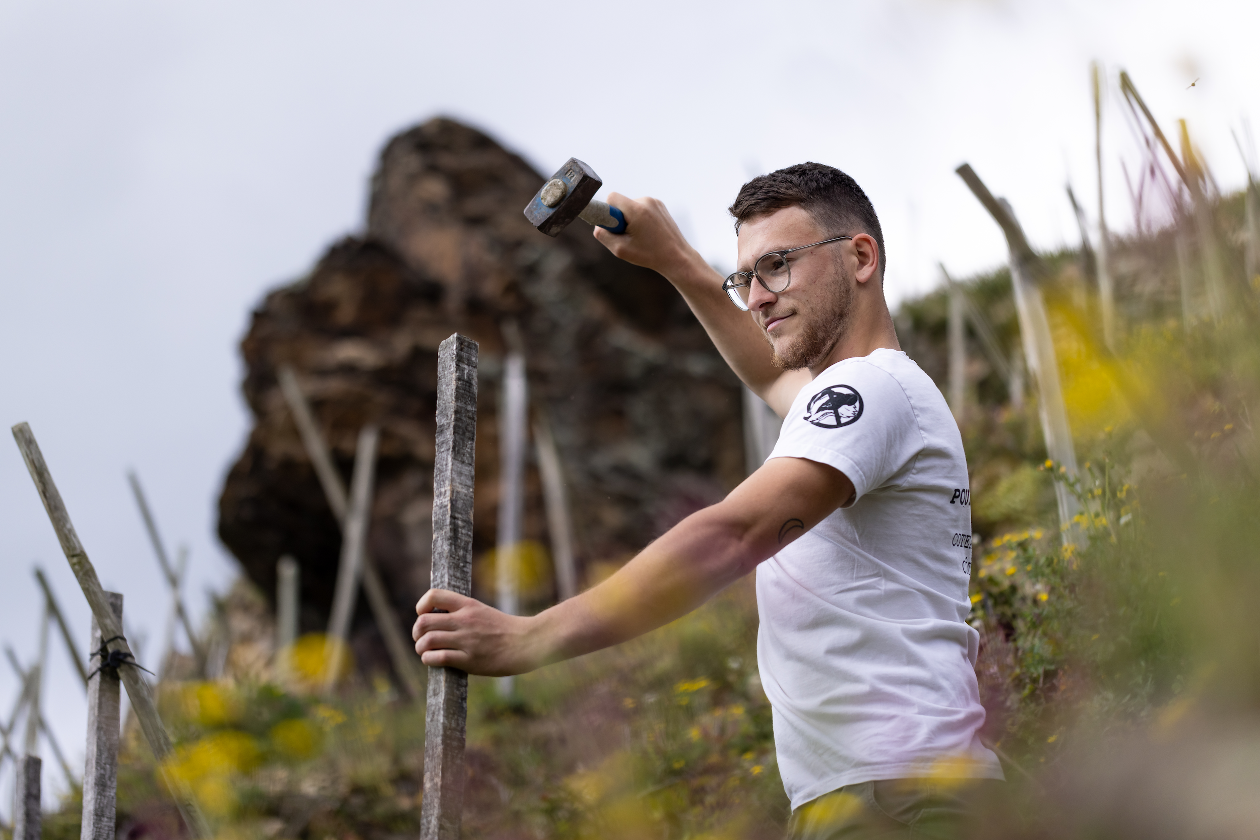 Dorian stephan plantes les échalas